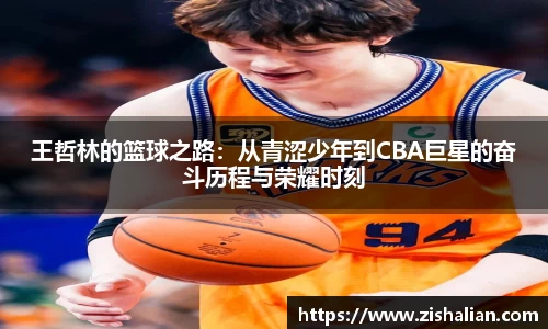 BB贝博艾弗森体育